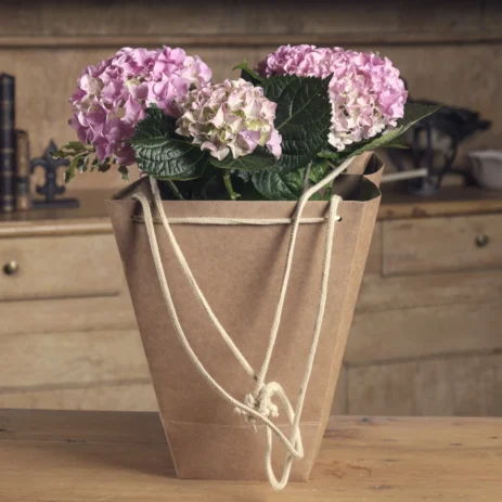 Pasión por las Hortensias