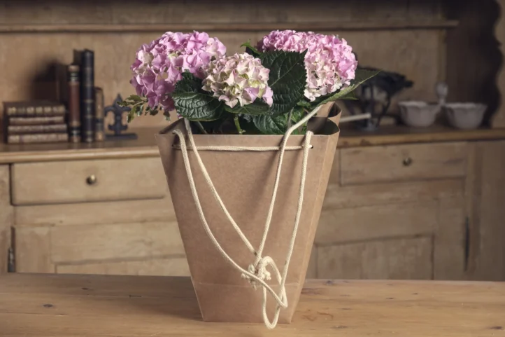 Pasión por las Hortensias